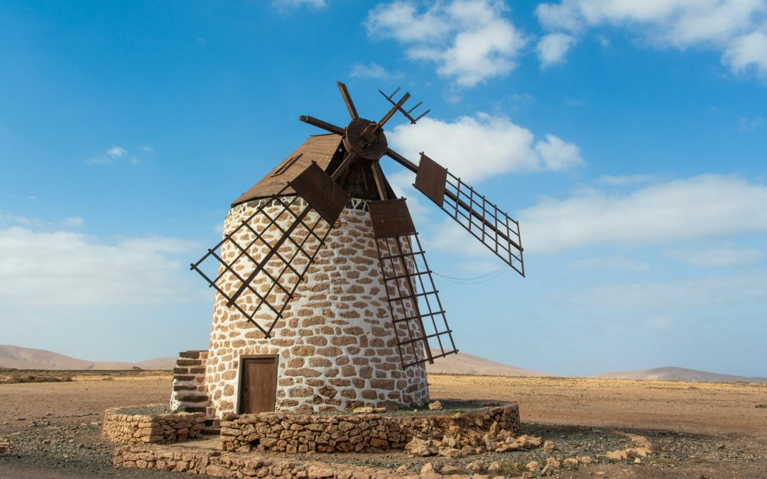 El tesón de la almazara